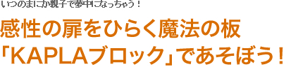 感性の扉をひらく魔法の板「KAPLAブロック」であそぼう！