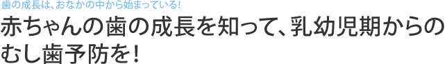 歯の成長は、おなかの中から始まっている！　赤ちゃんの歯の成長を知って、乳幼児期からのむし歯予防を！