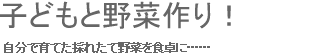 子どもと野菜作り！ 自分で育てた採れたて野菜を食卓に……