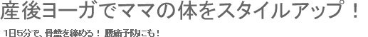 産後ヨーガでママの体をスタイルアップ！１日５分で、骨盤を締める！ 腰痛予防にも！