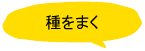 種をまく