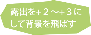 露出を+２〜+３にして背景を飛ばす