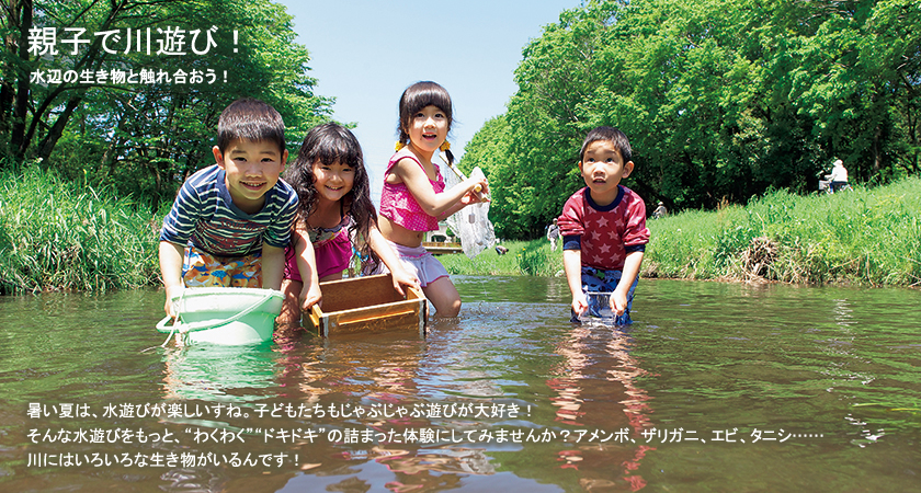 親子で川遊び！-水辺の生き物と触れ合おう！