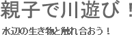 親子で川遊び！