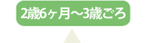 2歳6カ月～3歳ごろ