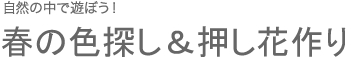 春の色探し＆押し花作り