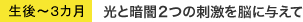 生後～３カ月 光と暗闇２つの刺激を脳に与えて