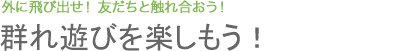 群れ遊びを楽しもう！