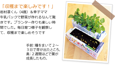 牛乳パックのプランターで野菜が育つよ 子どもと楽しむミニ菜園 育児情報誌 Miku ミク