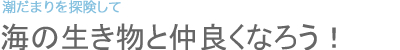 海の生き物と仲良くなろう！