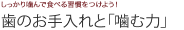 しっかり噛んで食べる習慣をつけよう！歯のお手入れと「噛む力」