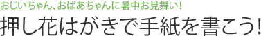 おじいちゃん、おばあちゃんに暑中お見舞い！ 押し花はがきで手紙を書こう！