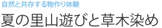 自然と共存する物作り体験 夏の里山遊びと草木染め