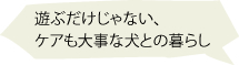 遊ぶだけじゃない、ケアも大事な犬との暮らし