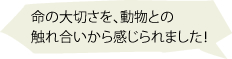 命の大切さを、動物との触れ合いから感じられました！