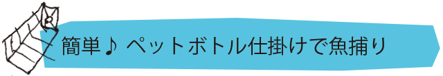 簡単　ペットボトル仕掛けで魚捕り