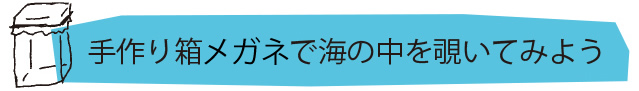 手作り箱メガネで海の中を覗いてみよう