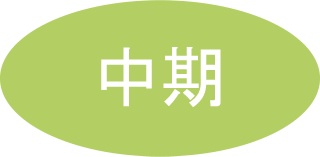 中期