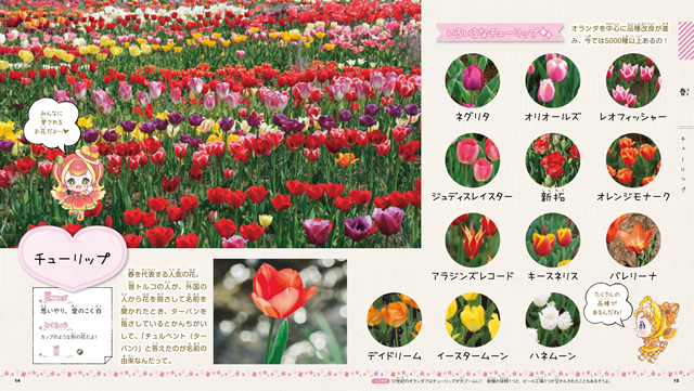 最新花屋さんの花図鑑―買いたい花の名前がわかる! (主婦の友