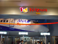 入国