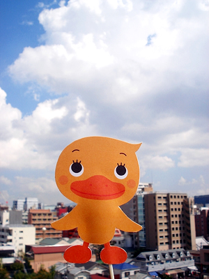 写真6