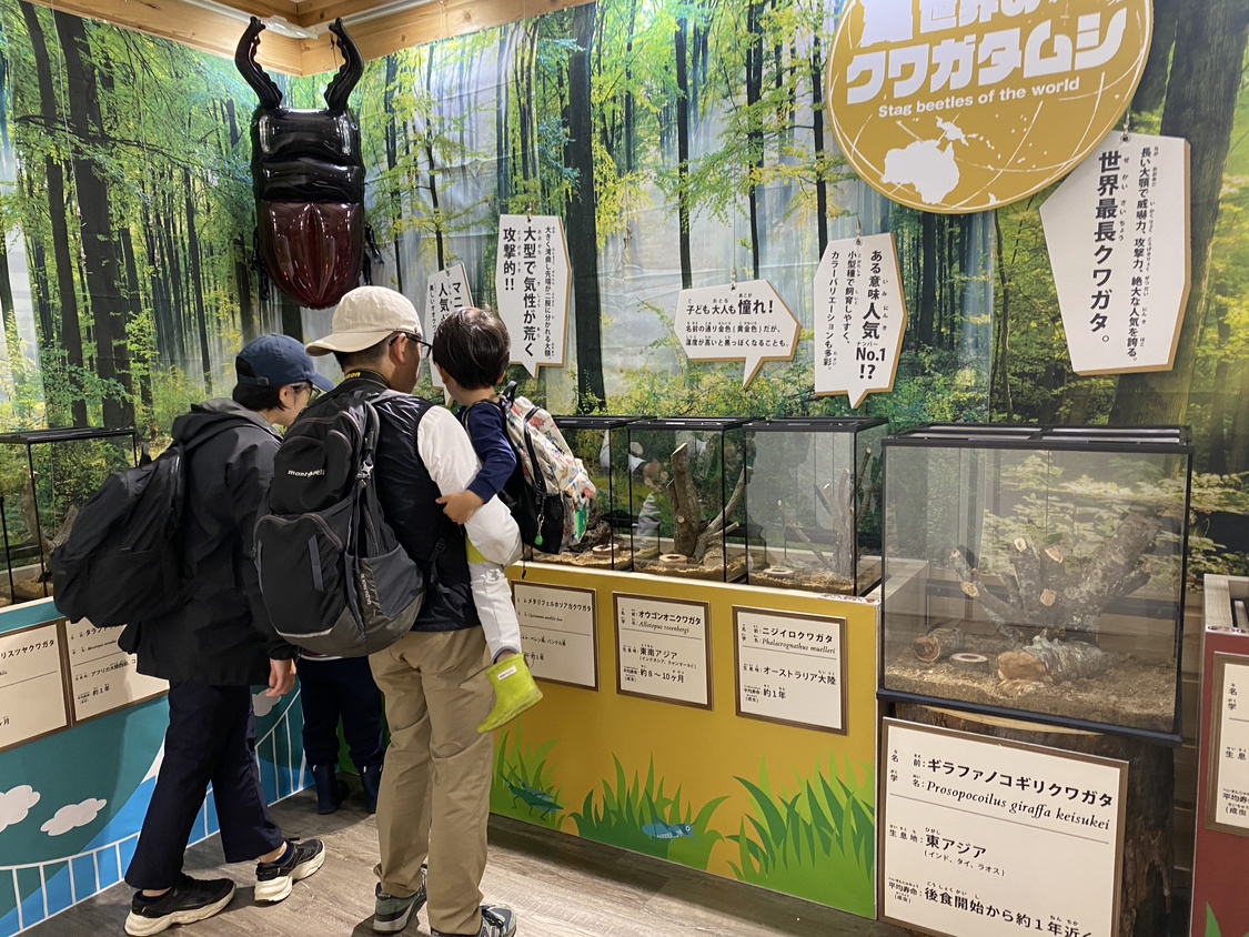 「カブトムシ・クワガタ イベント」「恐竜迷路」など三島スカイウォークで親子で空・森・冒険の体験!