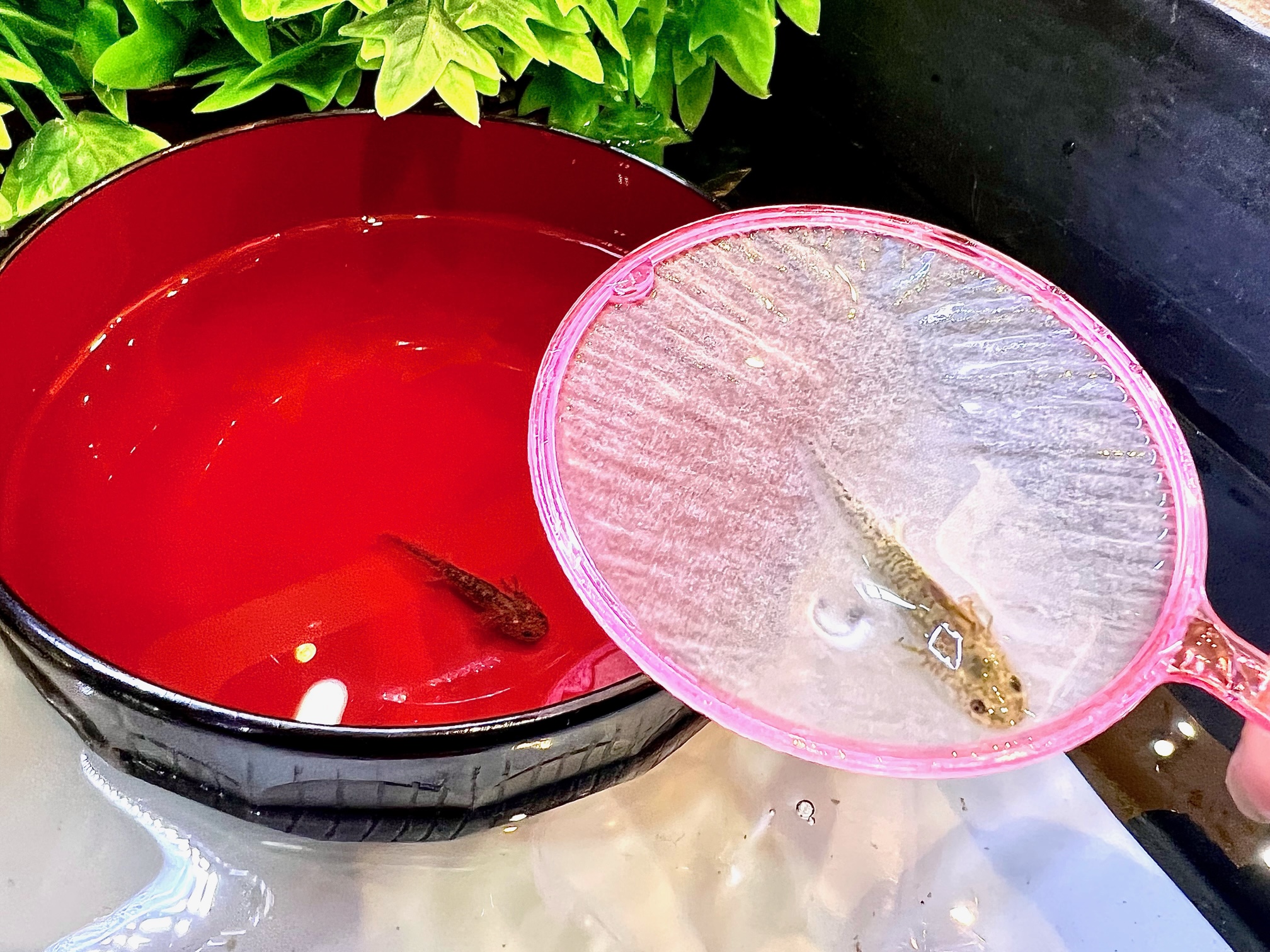 楽しいプログラムいっぱい!東京ソラマチ 夏休みワークショップ